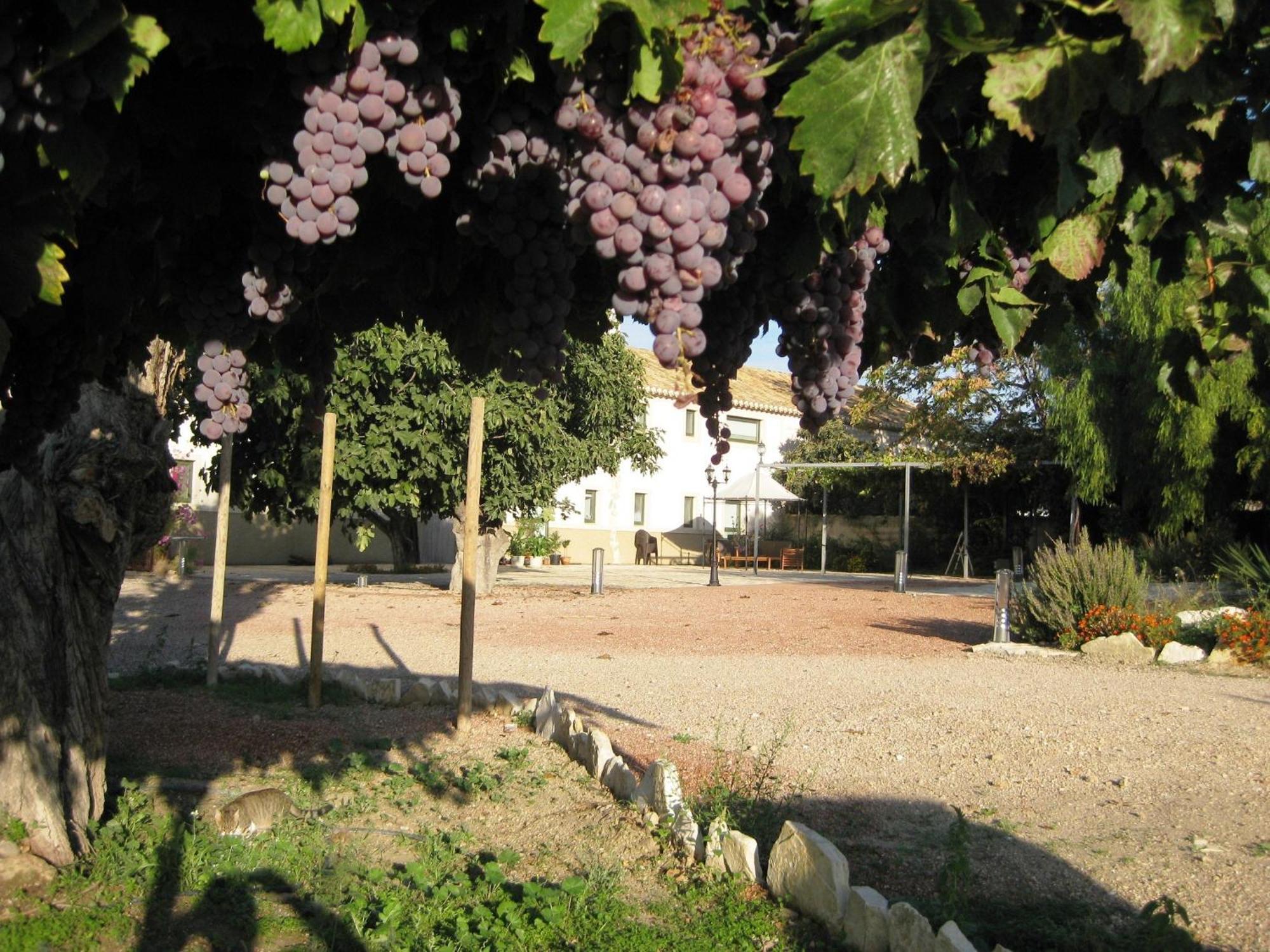 Jardines De Casablanca Hotel Caravaca De La Cruz Eksteriør billede