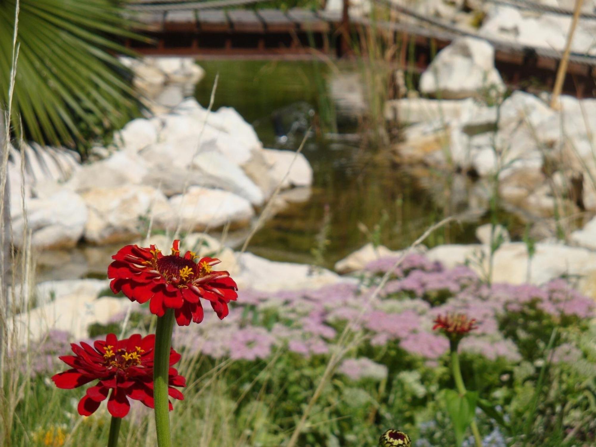 Jardines De Casablanca Hotel Caravaca De La Cruz Eksteriør billede
