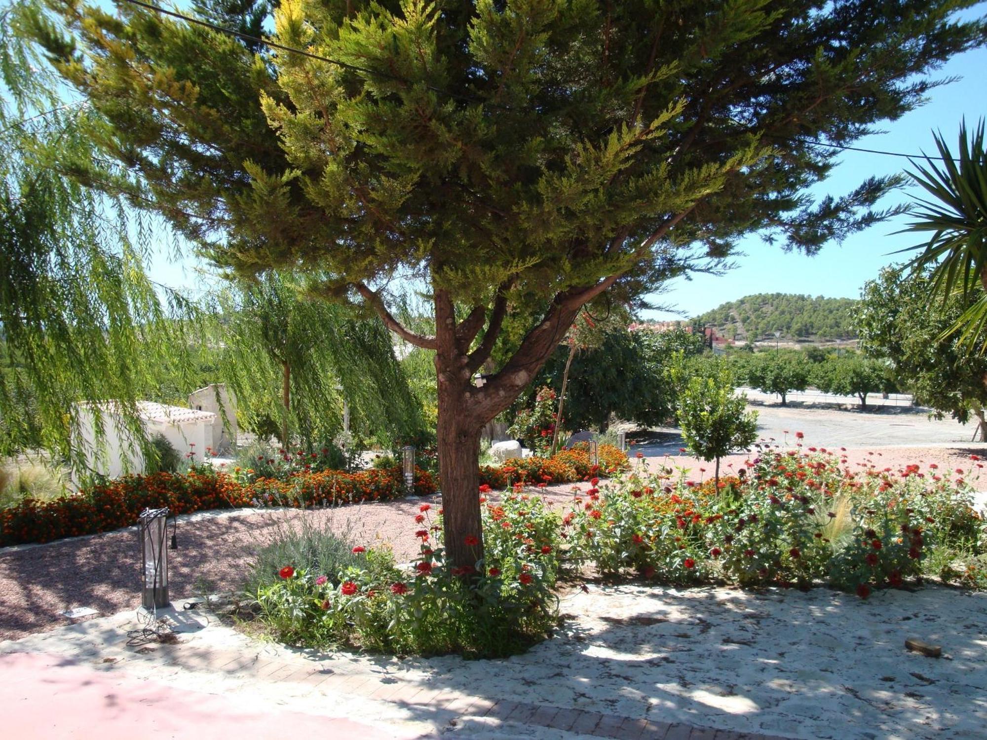 Jardines De Casablanca Hotel Caravaca De La Cruz Eksteriør billede